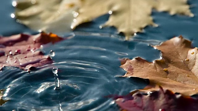 太阳雨滴落水坑视频素材