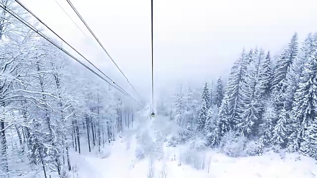 冬季景观与高云杉和雪山视频素材