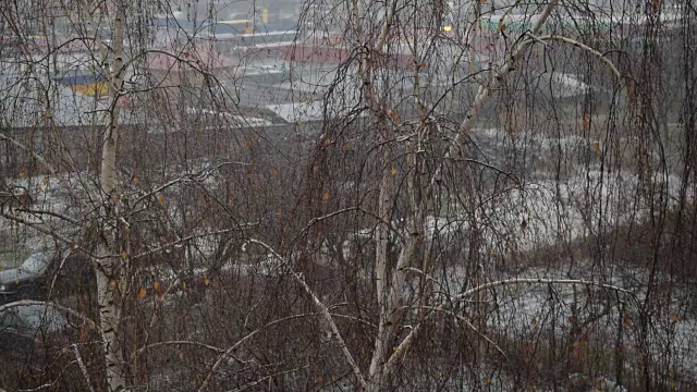 雨雪在一个城市，背景是光秃秃的桦树视频素材