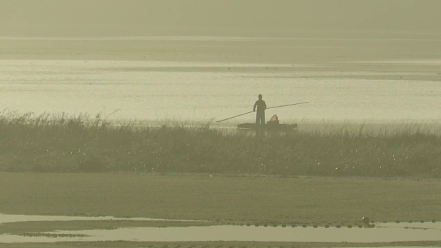 雾濛濛的乌坡湿地清晨视频下载