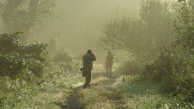 雾濛濛的乌坡湿地清晨视频下载