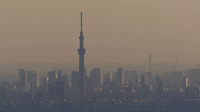 空中，东京周围的天空树黄昏，东京，日本视频素材