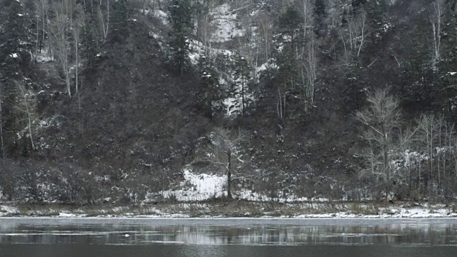 冬季公园里的河。冬天的风景。雪堆在河岸上。冬河有雾。河岸上覆盖着雪。有雾的冬天。下雪的冬天的公园。被雪覆盖的树。寒冷的天气视频素材