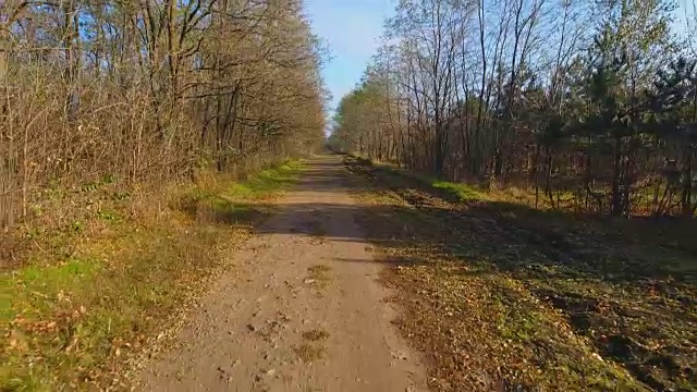 空中飞过森林中的道路。视频素材