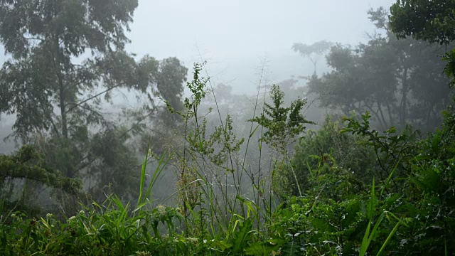 雨山视频素材