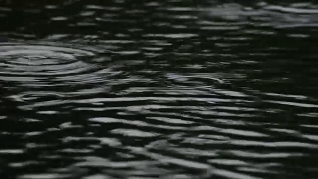 雨落在湖上的特写视频素材