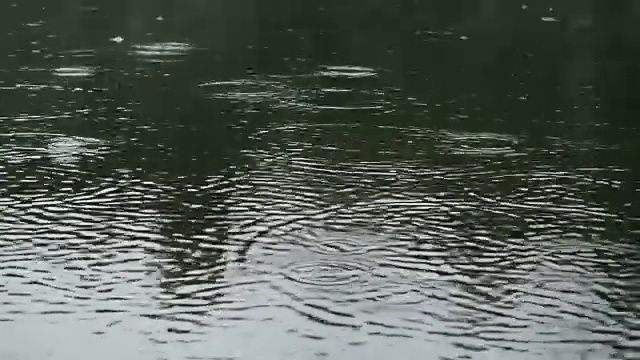 雨落湖上视频素材