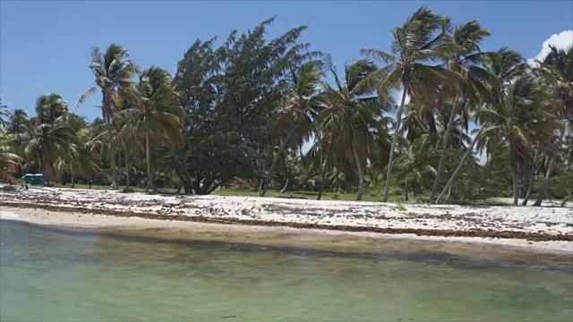 海滩棕榈加勒比海视频素材