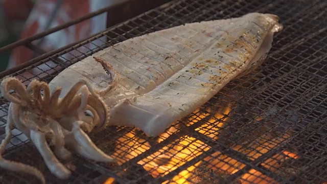 视频火焰炭烤鱿鱼，夜市街头小吃。视频素材