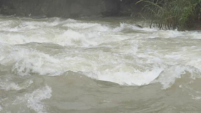 这条河在丛林中流过雨林。热带河流,丛林。视频下载