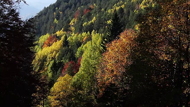 山间的秋天视频素材