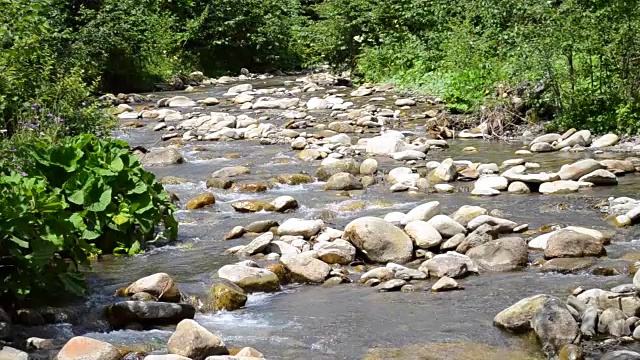 小山河带着大石子视频素材