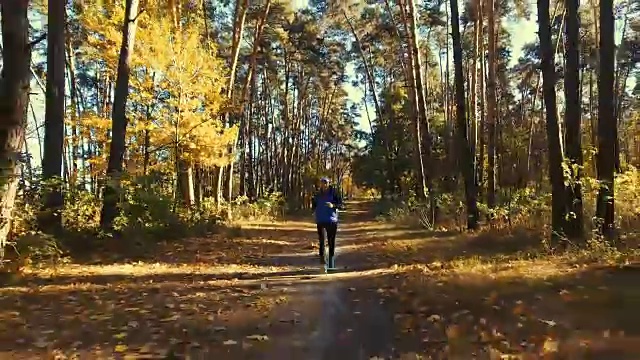 清晨森林里奔跑的人。体育运动视频素材