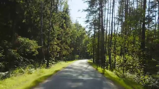 在森林道路上开车视频素材