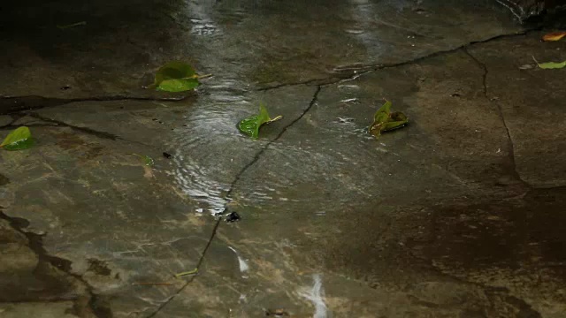 雨天雨滴。视频素材