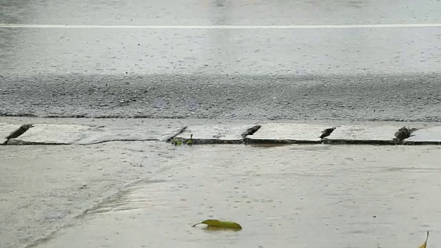 雨点溅落在柏油路上。视频素材