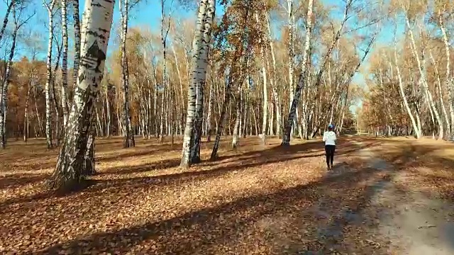 女孩在清晨的森林里奔跑。体育运动视频素材