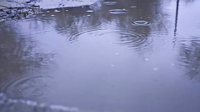 水坑里的雨点溅起秋天的自然阴沉沉的蓝色视频素材