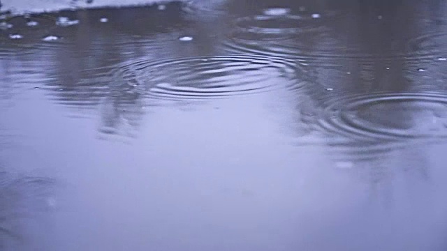 水坑里的雨点溅起秋天的自然阴沉沉的蓝色视频素材