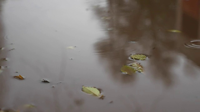 水潭里的雨滴，蓝色的飞溅，秋天自然阴沉沉的视频素材