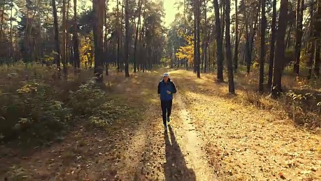 清晨森林里奔跑的人。体育运动视频素材