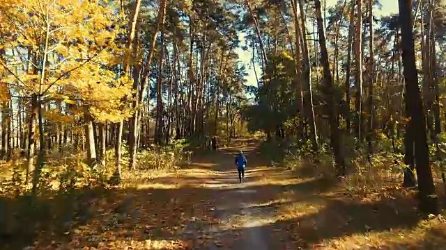 清晨森林里奔跑的人。体育运动视频素材