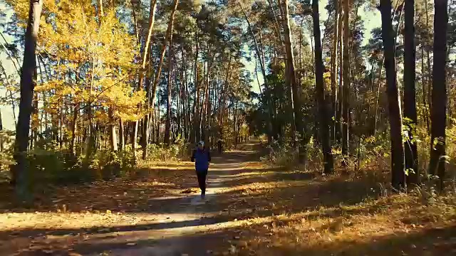 清晨森林里奔跑的人。体育运动视频素材