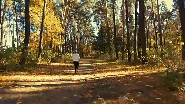 女孩在阳光明媚的清晨森林里奔跑。体育运动视频素材