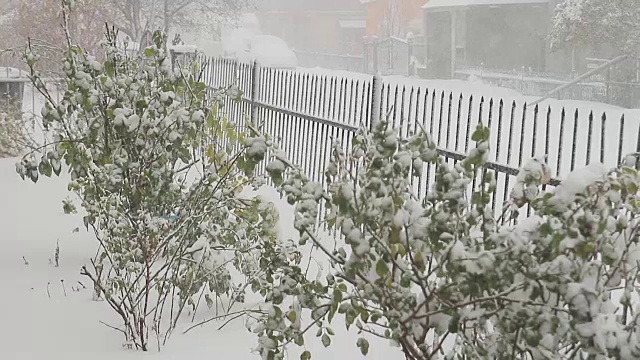 乌克兰暴风雪的视频视频素材