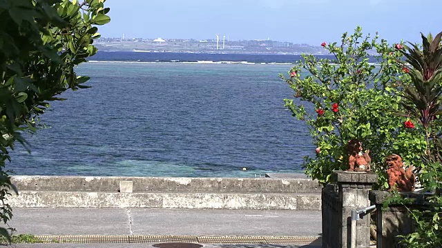 芙蓉背后的热带海洋，冲绳，日本视频素材