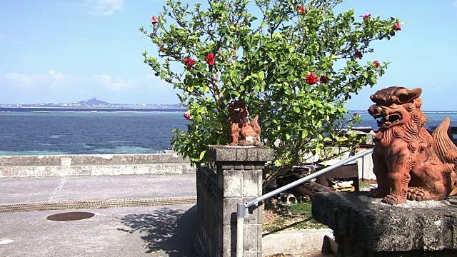 芙蓉背后的热带海洋，冲绳，日本视频素材