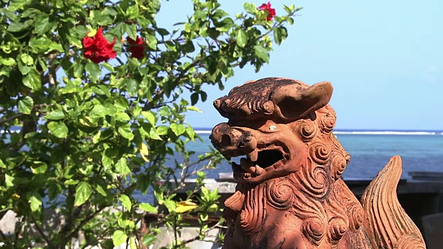 Shisa And hibiscis，冲绳，日本视频素材