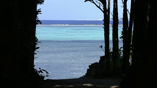 树洞热带海洋，日本冲绳视频素材