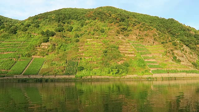 在莱茵兰-普法尔茨的摩泽尔河山上的葡萄园。(德国)视频素材