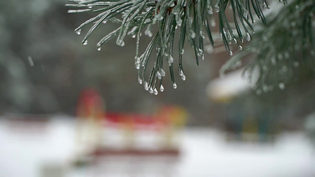 圣诞树背景下的自然雪与轻风在冰柱视频素材