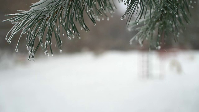 健康的生活方式的概念。冬季森林的背景奔跑者。自然雪下降视频素材