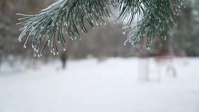 概念-现代生活。男人和狗在冬天的森林散步，下雪。视频素材