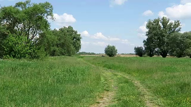 典型的带有草地的Havelland景观(德国)。穿过草地的小路视频素材