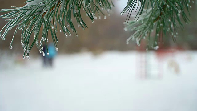 概念-现代生活。情侣漫步雪域森林。自然雪下降视频素材