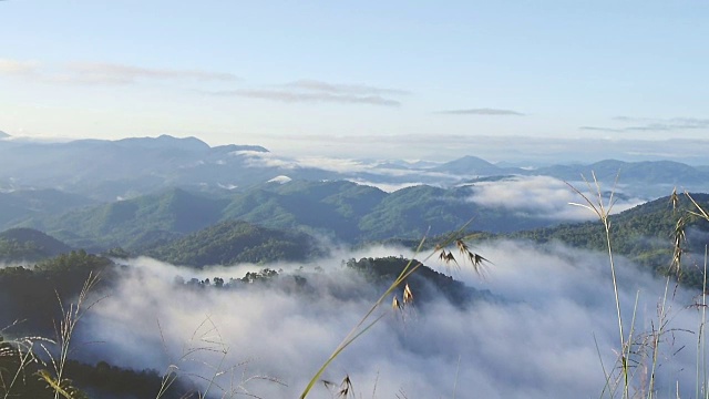 在泰国清迈的山和山的雾移动的景观视频素材