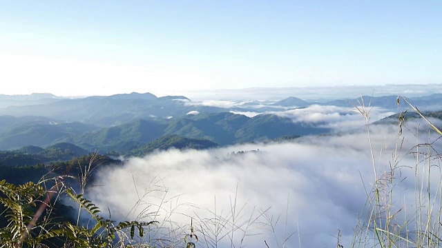 在泰国清迈的山和山的雾移动的景观视频素材