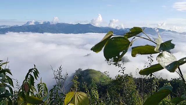 在泰国清迈的山和山的雾移动的景观视频素材