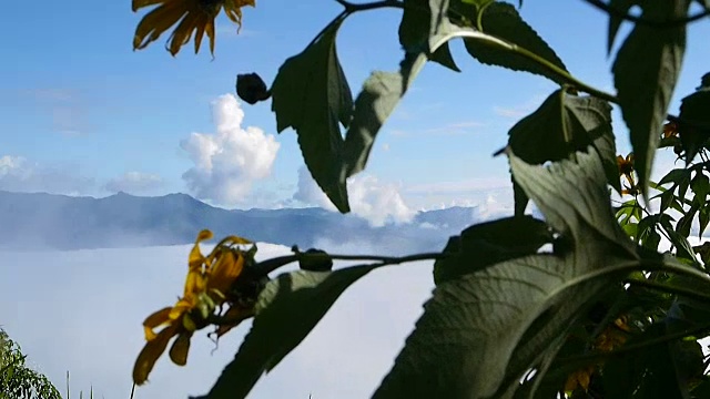 在泰国清迈的山和山的雾移动的景观视频下载