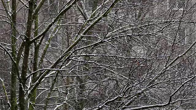 降雪在城市视频素材