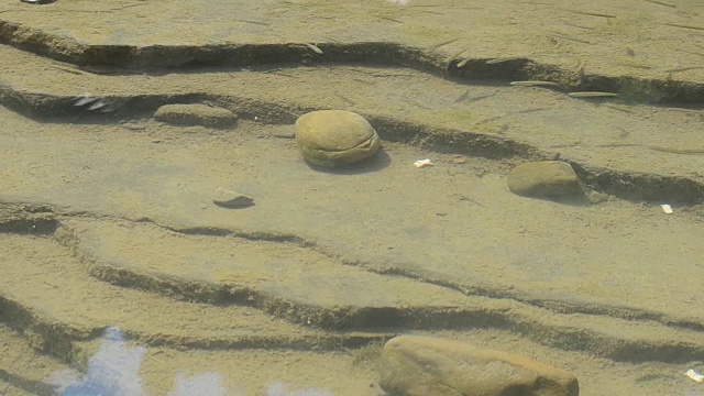 大自然狂野，山河淙淙视频素材