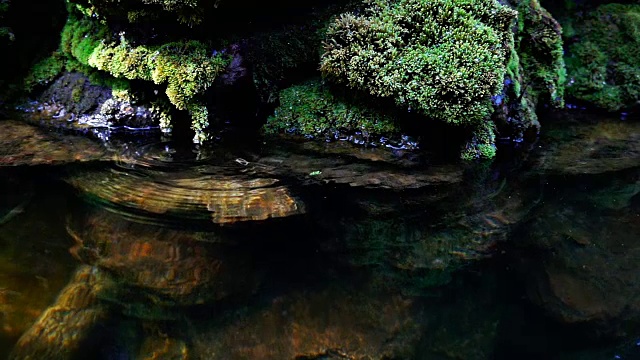 瀑布飞溅的慢镜头近景，泉水下落时，滴落在覆盖着绿色苔藓的岩石上视频素材