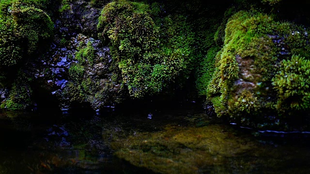 瀑布飞溅的慢镜头近景，泉水下落时，滴落在覆盖着绿色苔藓的岩石上视频素材