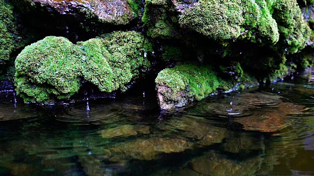 瀑布飞溅的慢镜头近景，泉水下落时，滴落在覆盖着绿色苔藓的岩石上视频素材