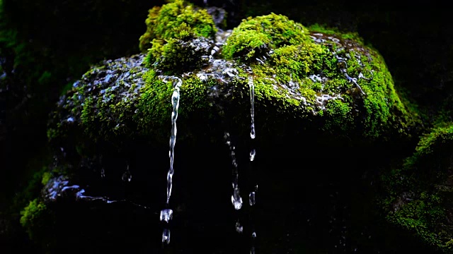 瀑布飞溅的慢镜头近景，泉水下落时，滴落在覆盖着绿色苔藓的岩石上视频素材