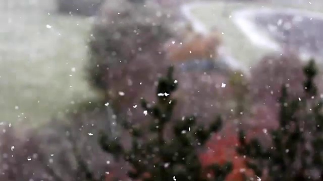 慢动作雪花浅景深视频素材